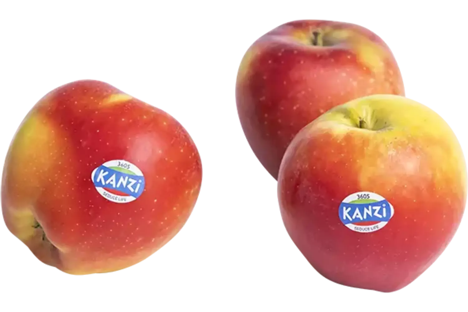 Kanzi appels verpakt 6st kist 8 stuks